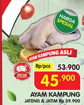 Promo Harga Ayam Kampung 500 gr - Superindo