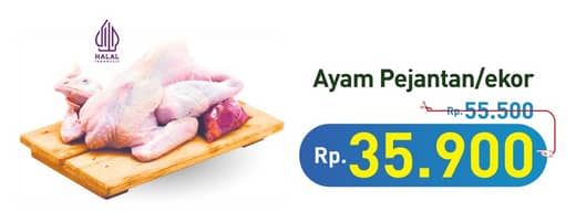 Promo Harga Ayam Pejantan 500 gr - Hypermart