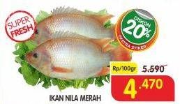 Promo Harga Ikan Nila Merah per 100 gr - Superindo