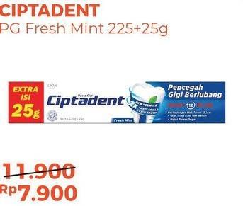 Promo Harga CIPTADENT Pasta Gigi Maxi 12 Plus Fresh Mint 250 gr - Alfamart