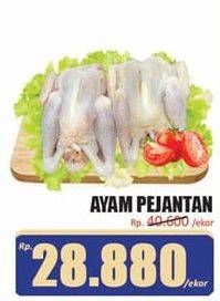 Promo Harga Ayam Pejantan 500 gr - Hari Hari