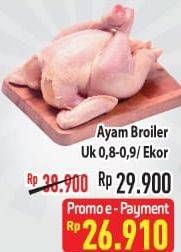 Promo Harga Ayam Broiler 800 gr - Hypermart