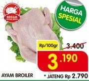 Promo Harga Ayam Broiler per 100 gr - Superindo