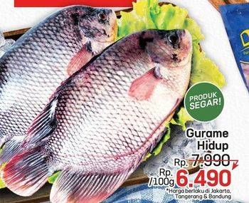 Promo Harga Ikan Gurame Hidup per 100 gr - LotteMart