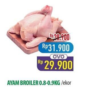Promo Harga Ayam Broiler 800 gr - Hypermart