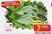 Promo Harga Ikan Kuek Lilin per 100 gr - Superindo