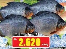 Promo Harga Ikan Bawal Tawar per 100 gr - Hari Hari