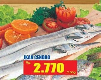 Promo Harga Ikan Cendro per 100 gr - Hari Hari