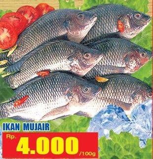 Promo Harga Ikan Mujair per 100 gr - Hari Hari