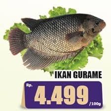 Ikan Gurame per 100 gr Harga Promo Rp4.499