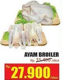 Promo Harga Ayam Broiler  - Hari Hari