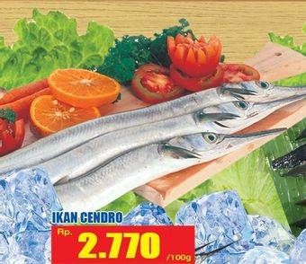 Promo Harga Ikan Cendro per 100 gr - Hari Hari