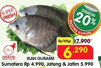 Promo Harga Ikan Gurame per 100 gr - Superindo