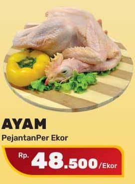 Promo Harga Ayam Pejantan 500 gr - Yogya
