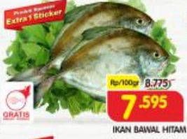 Promo Harga Ikan Bawal Hitam per 100 gr - Superindo