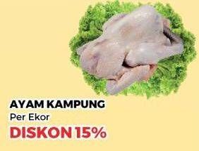 Promo Harga Ayam Kampung 500 gr - Yogya