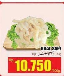 Promo Harga Urat Sapi per 100 gr - Hari Hari