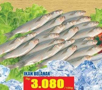 Promo Harga Ikan Belanak per 100 gr - Hari Hari