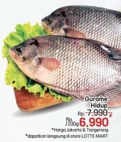 Promo Harga Ikan Gurame Hidup per 100 gr - LotteMart