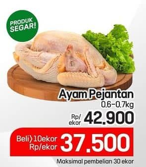 Promo Harga Ayam Pejantan 600 gr - Lotte Grosir