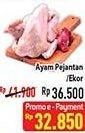 Promo Harga Ayam Pejantan 500 gr - Hypermart