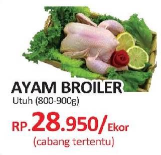 Promo Harga Ayam Broiler  - Yogya