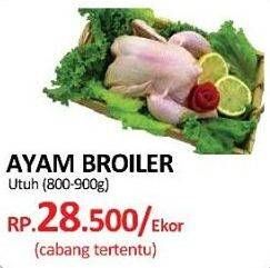 Promo Harga Ayam Broiler  - Yogya