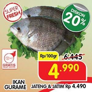 Promo Harga Ikan Gurame per 100 gr - Superindo