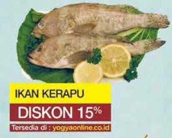 Promo Harga Ikan Kerapu  - Yogya
