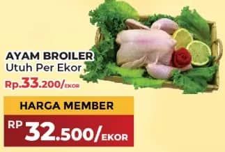 Promo Harga Ayam Broiler 900 gr - Yogya