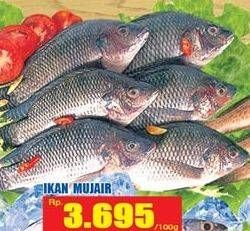 Promo Harga Ikan Mujair per 100 gr - Hari Hari