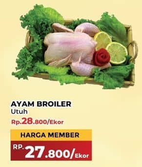 Promo Harga Ayam Broiler 500 gr - Yogya