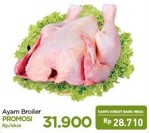 Promo Harga Ayam Broiler  - Carrefour