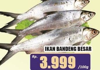 Promo Harga Ikan Bandeng Besar per 100 gr - Hari Hari