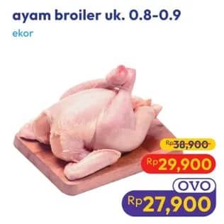 Promo Harga Ayam Broiler 800 gr - Hypermart