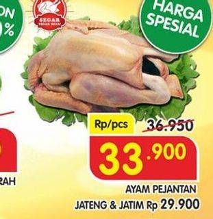 Promo Harga Ayam Pejantan  - Superindo