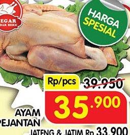 Promo Harga Ayam Pejantan  - Superindo