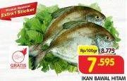 Promo Harga Ikan Bawal Hitam per 100 gr - Superindo