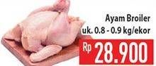 Promo Harga Ayam Broiler  - Hypermart