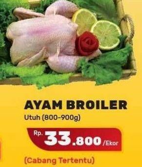 Promo Harga Ayam Broiler Utuh, Utuh, Utuh  - Yogya