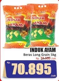 Promo Harga Induk Ayam Rice Long Grain 5000 gr - Hari Hari