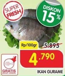 Promo Harga Ikan Gurame per 100 gr - Superindo