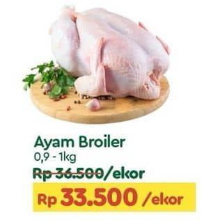 Promo Harga Ayam Broiler 900 gr - TIP TOP