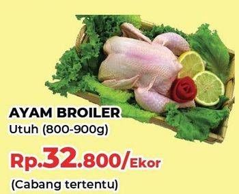 Promo Harga Ayam Broiler 800 gr - Yogya