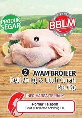 Promo Harga Ayam Broiler  - Lotte Grosir