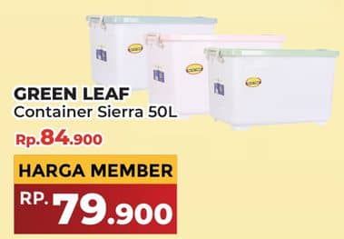 Promo Harga Green Leaf Container Sierra  - Yogya