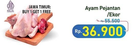 Promo Harga Ayam Pejantan 500 gr - Hypermart