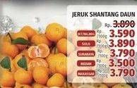 Promo Harga Jeruk Shantang Daun per 100 gr - LotteMart