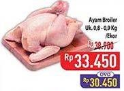 Promo Harga Ayam Broiler 800 gr - Hypermart