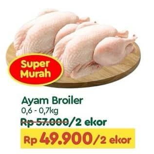 Promo Harga Ayam Broiler 600 gr - TIP TOP